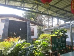 -瑞丰园庭院餐厅·白族传统家常菜