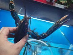 -星记小馆·小蓝龙·老南京砂锅菜(上海路店)