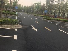 -春花秋色城市公园