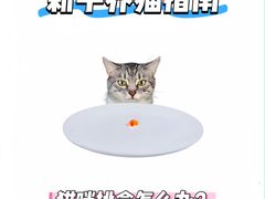 -佩兹宠物医院肿瘤专科·眼科·牙科(黄浦店)