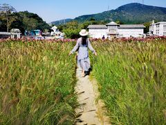 -玫瑰海岸文化旅游度假区