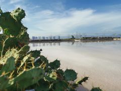 -莺歌海盐场