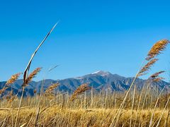 -野鸭湖国家湿地公园