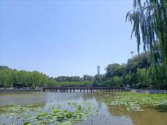 -中国农业博物馆