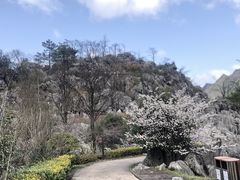 -千岛湖石林