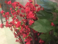 -云中鱼蒸汽石锅鱼(川沙百联店)