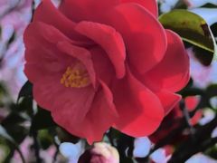 -玄武湖景区-情侣园游乐场