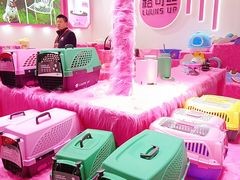 -国家会展中心