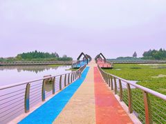 -滆湖低碳生态公园