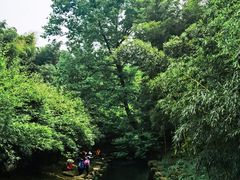 -杭州植物园