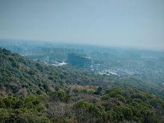 -杭州半山国家森林公园