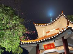 -二沙岛艺术公园
