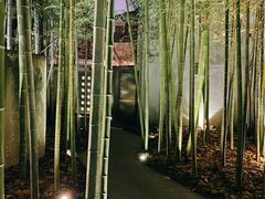 景观位-穹六人间 people 6(岳阳路店)