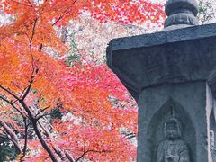 -汇龙潭