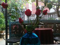 -杨桃院子旅馆(厦门鼓浪屿中华红墨店)