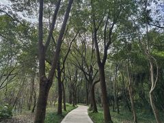 -昆山城市生态森林公园