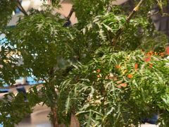 -大同江朝鲜菜•长春地标美食(绿园吾悦广场店)