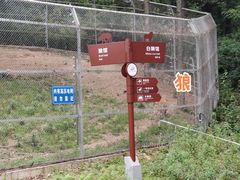-安徽大青山野生动物世界