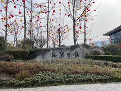 -恩阳古镇