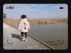 -盐城丹顶鹤湿地生态旅游区
