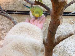-上海大自然野生昆虫馆(东方明珠·爬宠昆虫探索中心)