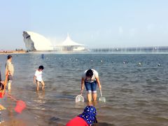 -碧海金沙