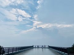 -紫金山山顶公园