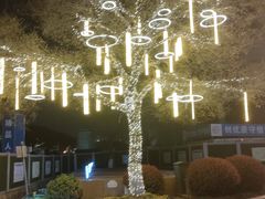 -麦当劳(塔园路店)