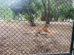 -北京野生动物园