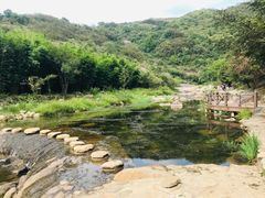 -武汉姚家山旅游景区