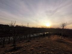 -东郊湿地公园