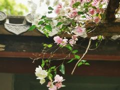 -深圳国际园林花卉博览园