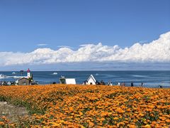 -青海湖二郎剑景区