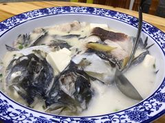 -全乐鱼馆·淳牌有机鱼直营店