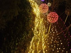 -怡海公园(桂城街道)