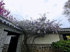 -蓬莱阁景区