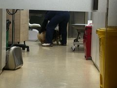 -爱侣宠医·鹦鹉专科·小型哺乳类·异宠专科(灵石路店)