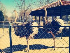 -意大利农场度假村