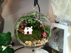 -花言草语鲜花店(灵山路店)