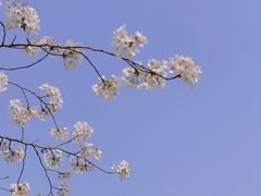 -苏州上方山国家森林公园