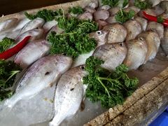 -百年银屏蚝烙·潮汕菜·非遗(乐山店)