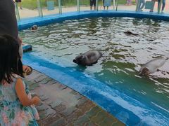 -北戴河圣蓝海洋公园