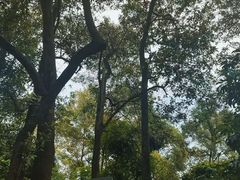 -小南山公园