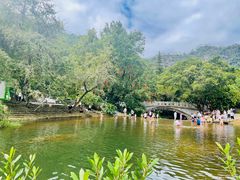 -广州市石门国家森林公园