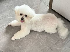 -FAELING PETS美天灵宠物(富力广场店)