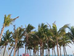 -玫瑰海岸文化旅游度假区