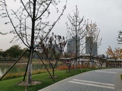 景点-西海子公园