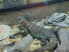 -青岛海底世界-水族馆