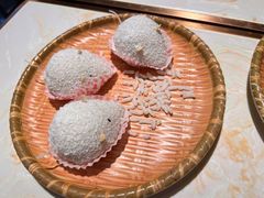 -点都德·毕德寮