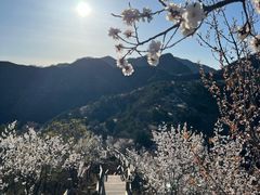 -龙泉峪长城